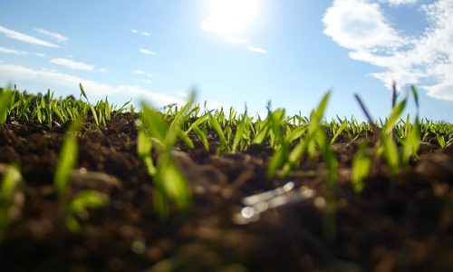 Understanding Landscapes Throughout Australian Cultural Landscapes